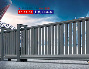 ֱ���T��̖